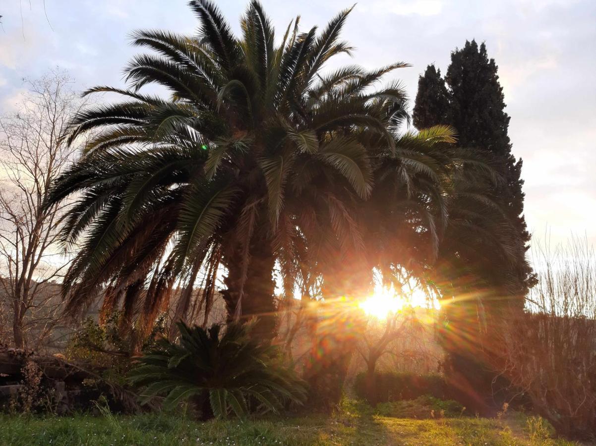 La Meriggia Senigallia Agriturismo Ancona Buitenkant foto